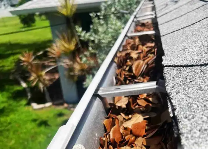 Ridgeway gutter cleaning home page
